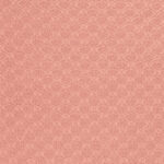 Salmon Pink